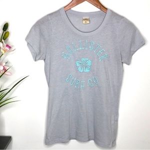 Hollister Tee Shirt Ladies / Juniors Medium Top